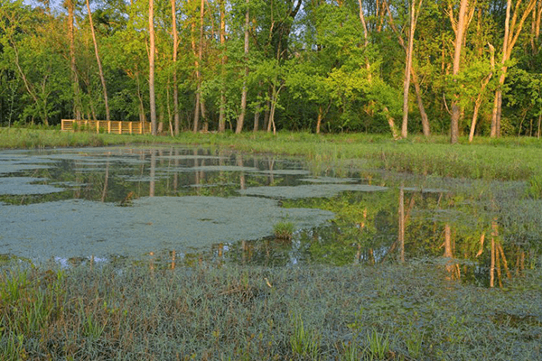 Zonolite / Nickel Bottom Park