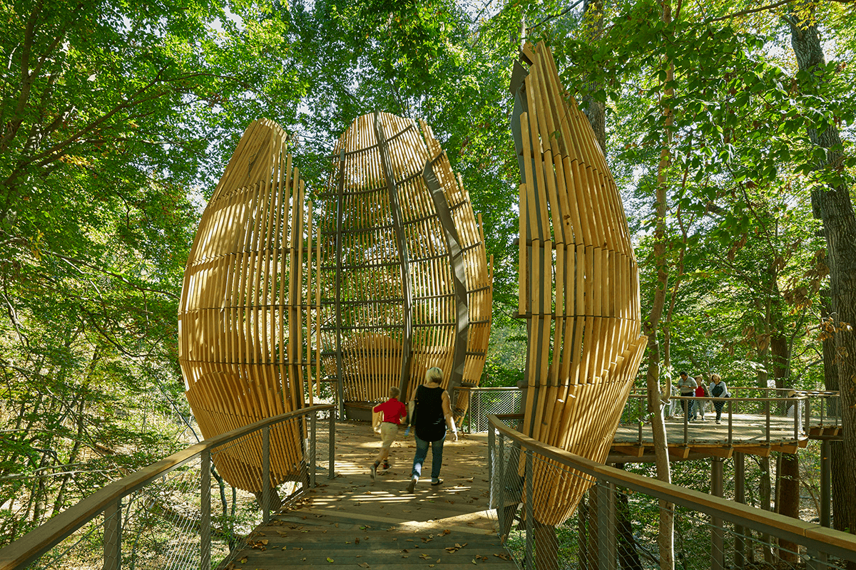 Fernbank Center WildWoods