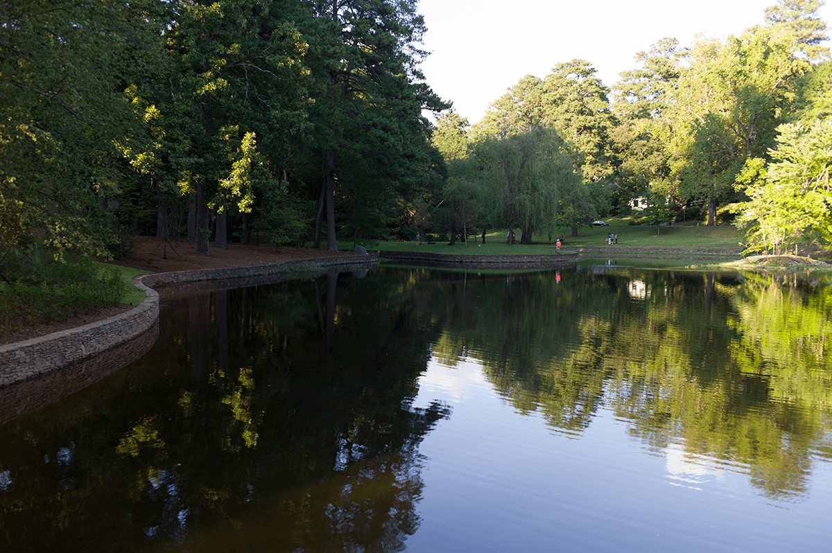 Duck Pond Park