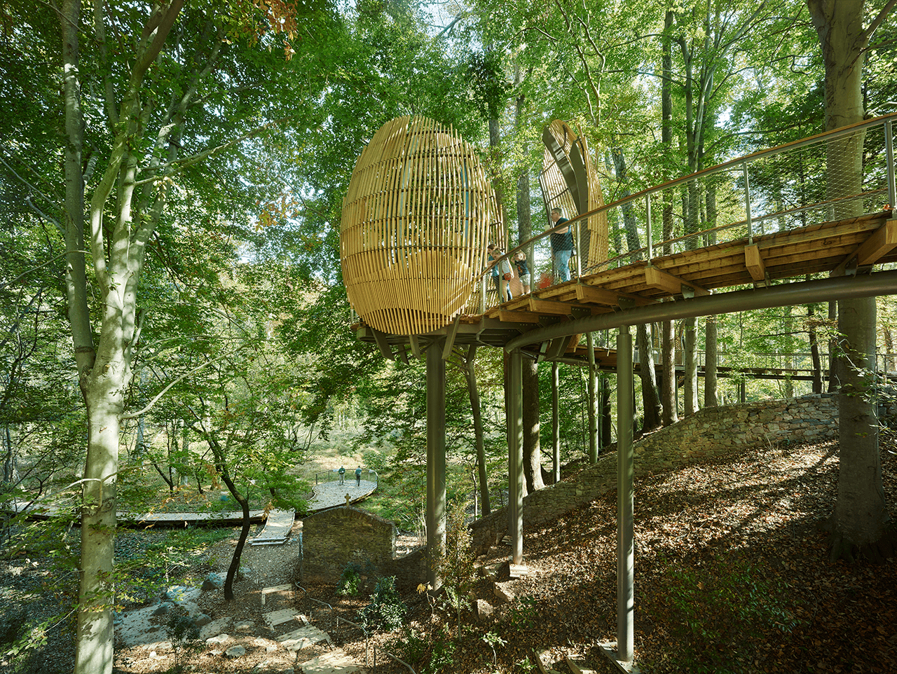 Fernbank Museum WildWoods